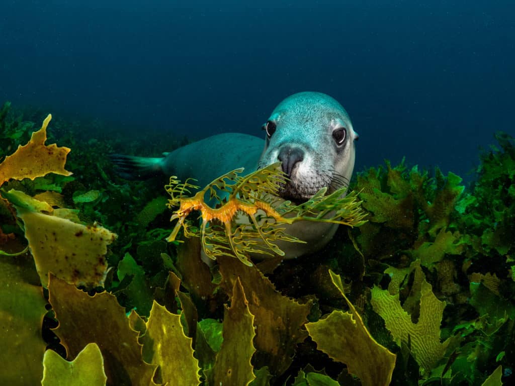 Explore Over 100 Stunning Images At The Wildlife Photographer Of The Year Exhibition