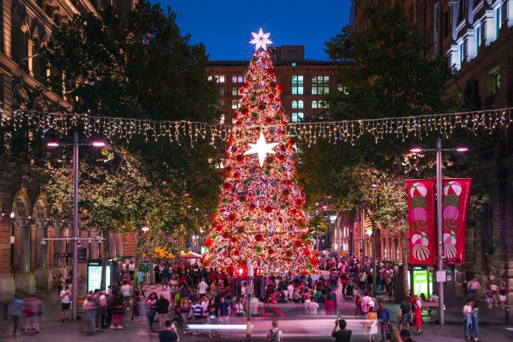 The Martin Place Christmas tree illuminated by lights.