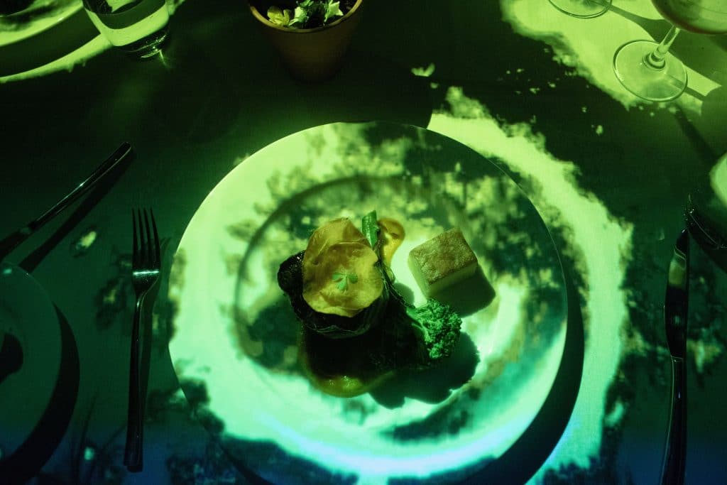 close up of dinner plate and image of video mapping on table during immersive dining experience