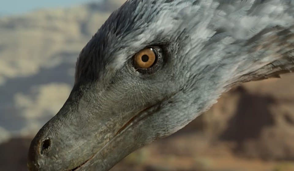 David Attenborough’s New Series About The Life Of Dinosaurs Has Officially Dropped