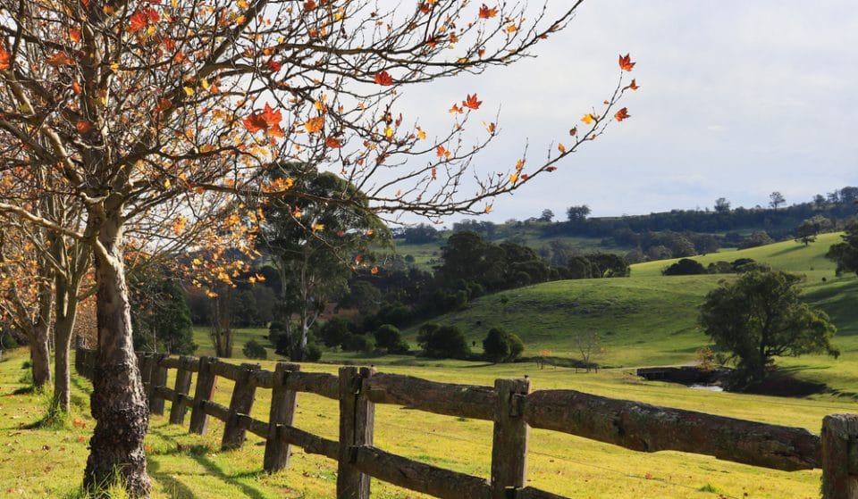 The Secret Sydney Guide To The Southern Highlands