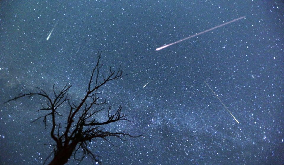 Here’s When The Eta Aquariid Meteor Shower Will Light Up Your Night