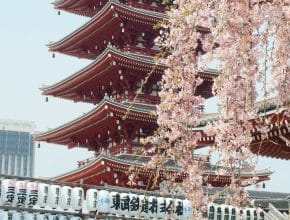 Japan Finally Lifts Last Travel Restrictions So Soon You Won’t Need A Visa To Visit
