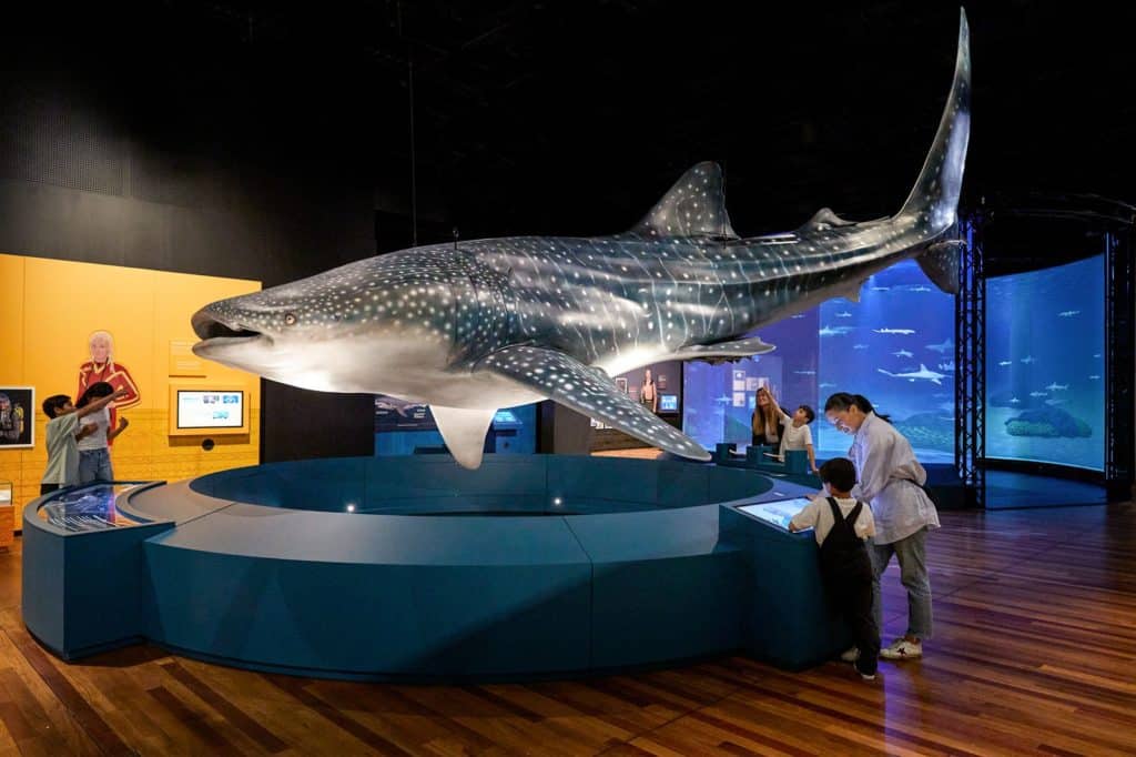 See Life-Size Shark Models At This Huge Exhibition By The Australian Museum