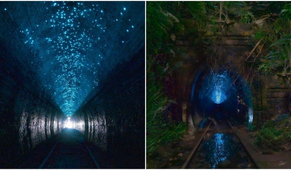 This Abandoned Rail Tunnel Near Sydney Is Home To A Colony Of Glow Worms • Helensburgh Glow Worm Tunnel