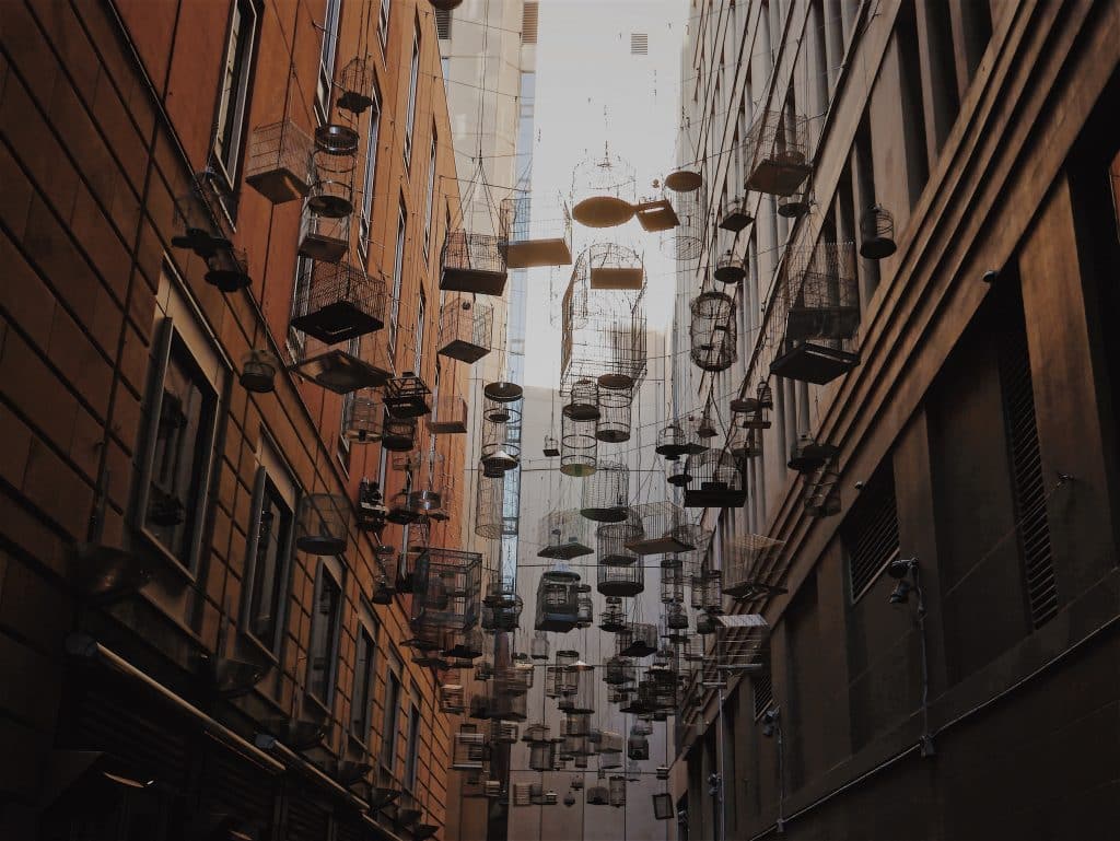 empty birdcages suspended mid-air in sydney's angel place street