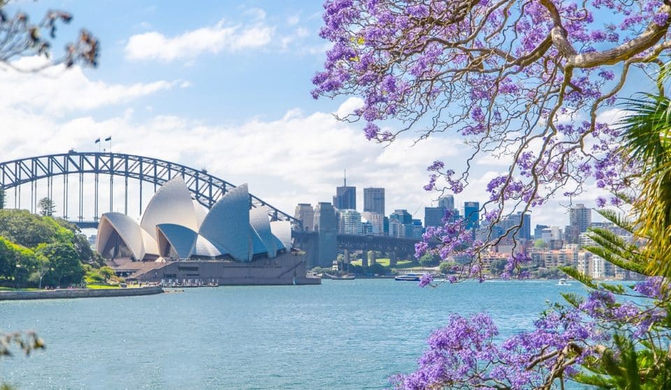 50 Wonderful Things To Do In Sydney In January 2023