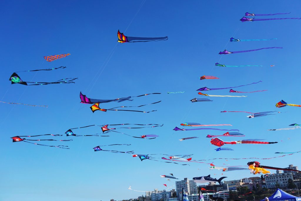 kite flying festival at a sydney beach