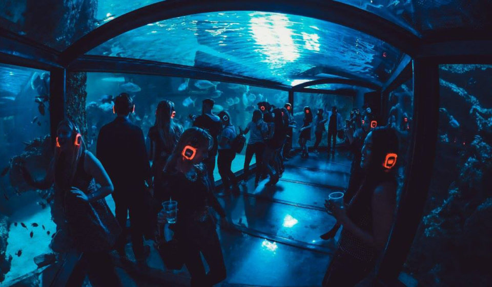Get Your Boogie On At Sydney’s Only Underwater Silent Disco This April