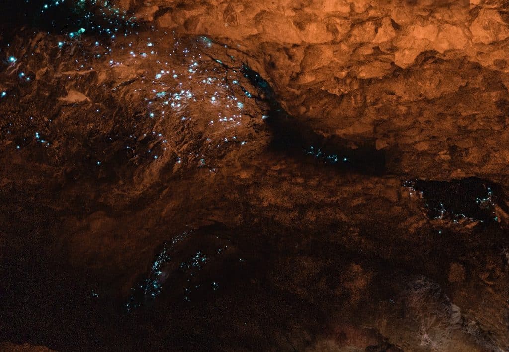 a cave with glow worms on the ceiling 