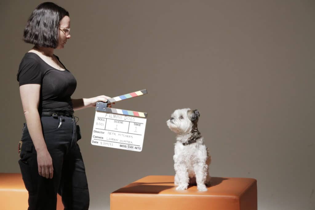 This Super Cute Film Festival In Sydney Is Dedicated Entirely To Films About Dogs