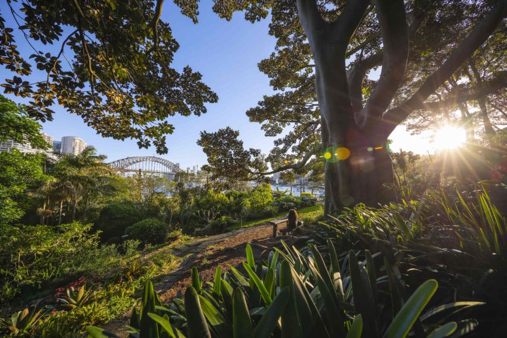 Sydney’s Whimsical Secret Garden With Fairy Houses And Harbour Views