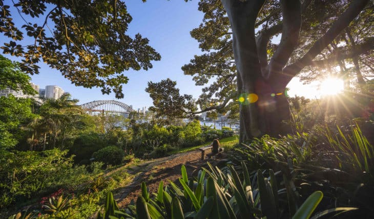 Sydney’s Whimsical Secret Garden With Fairy Houses And Harbour Views