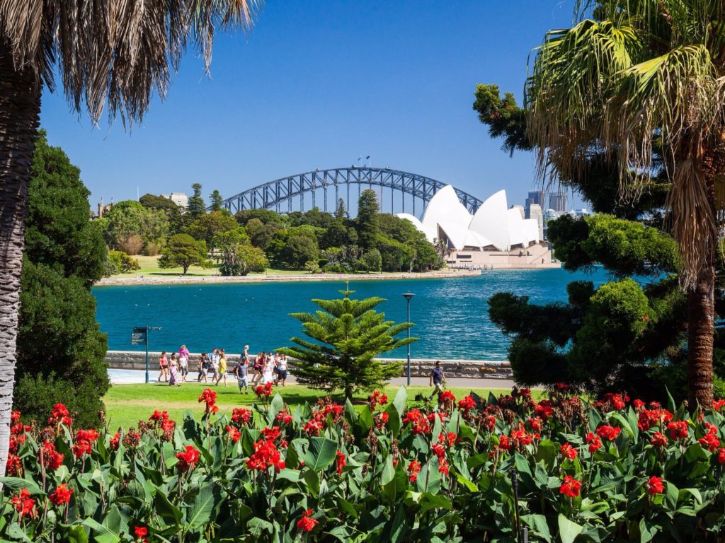 a view of the opera house and harbour bridge from the royal botanic gardens, sydney