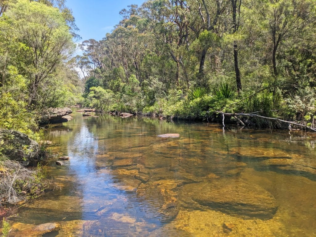 6 Pristine Natural Swimming Spots In Sydney