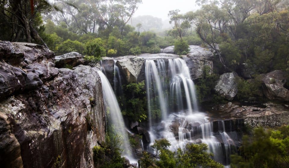 5 Underrated National Parks To Explore Near Sydney This Summer