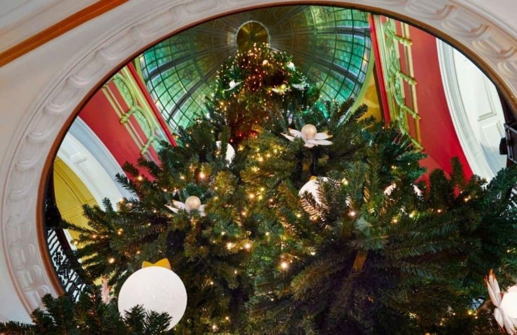 This Iconic Sydney Building Will Soon Be Home To Australia’s Largest Indoor Christmas Tree